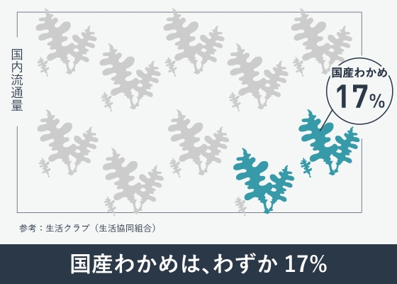 2つの湖に揉まれて育ったわかめは肉厚