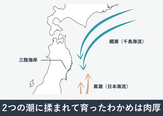 国産わかめは、わずか17％